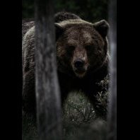 Пан Гробовски