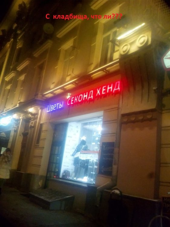 цветы секонд.jpg